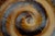 Ceramic Danish Studio Ceramic Plate, 1960s For Sale - Image 7 of 10