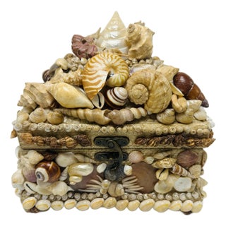 Large Vintage Shell Box For Sale