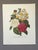Up for sale is this gorgeous vintage print by PJ Redoute, one of several we are currently listing. With a sheet size of...