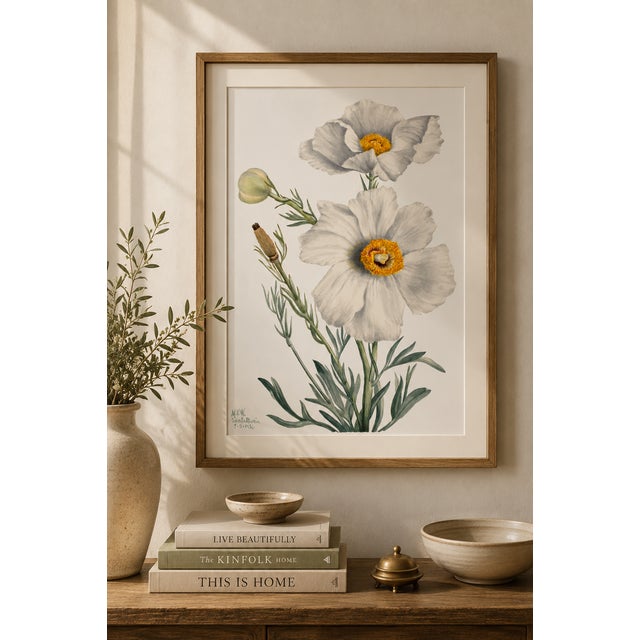 Vintage botanical artwork reproduced from an original illustration by Mary Vaux Walcott and refined for modern printing....