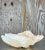 Ceramic Vintage Coastal Glazed Ceramic Clam Shell For Sale - Image 7 of 9