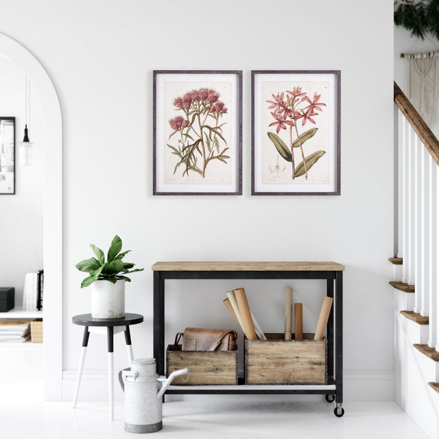 Kenneth Ludwig Chicago Pretty In Pink Vintage Prints, Set Of 2 For Sale - Image 4 of 5