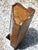 Antique Oak Corner Medicine Cabinet Beveled Mirror Cupboard Kitchen Apothecary For Sale - Image 10 of 13