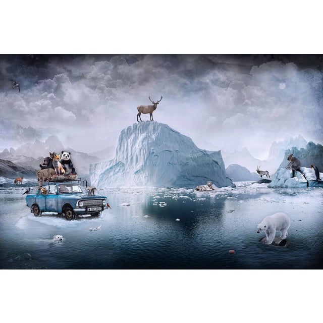 Arctic Diaries by Marcin Owczarek | Photography - Dye Sublimation on Aluminum Frozen landscape with animals. For Sale