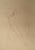 Leonor Fini, The Astrologer, Nude, Original Signed Engraving For Sale - Image 7 of 7