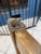 Scandinavian Style Wooden Side Table with Swivel Top, 1950s For Sale - Image 18 of 18