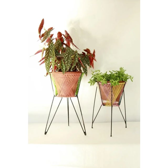 Mid-Century Scooby-Doos Plant Stands, Italy, 1960s, Set of 2 For Sale - Image 6 of 11