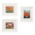 Set of Three Still Life Giclée Signed Framed Prints of Flowers-in-Pot Paintings For Sale