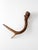 Vintage Natural Deer Antler For Sale - Image 13 of 13