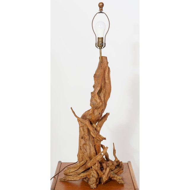 Vintage Drift Wood Table Lamp For Sale In Miami - Image 6 of 10