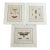 Antique Natural History Entomology Butterfly & Beetle Art Prints Set of Three For Sale