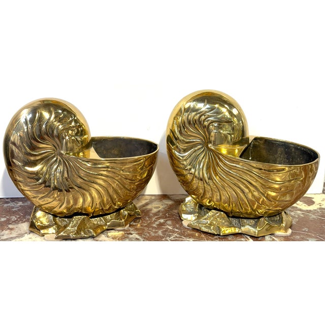 Gold Large Pair Polished Brass Nautilus Shell Vase by Sarreid, Spain, Circa 1970s For Sale - Image 8 of 10