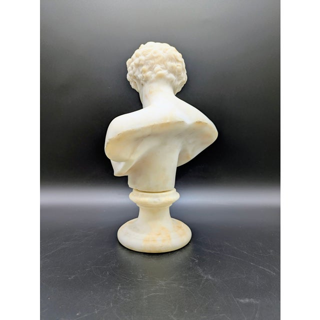 19th Century Grand Tour Alabaster Bust: Capitoline Antinous For Sale In Portland, OR - Image 6 of 13