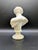 19th Century Grand Tour Alabaster Bust: Capitoline Antinous For Sale In Portland, OR - Image 6 of 13