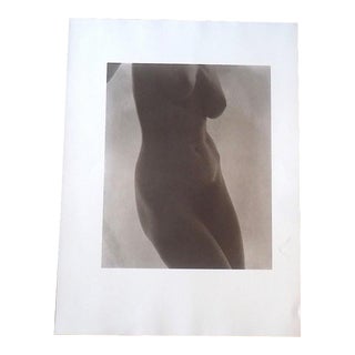 Large Vintage Photogravure-"Georgia O'Keeffe" by Alfred Stieglitz (Usa 1864-1946) For Sale