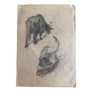 Christo Javacheff, Early Animal Illustration, 1950s, Drawing on Paper For Sale