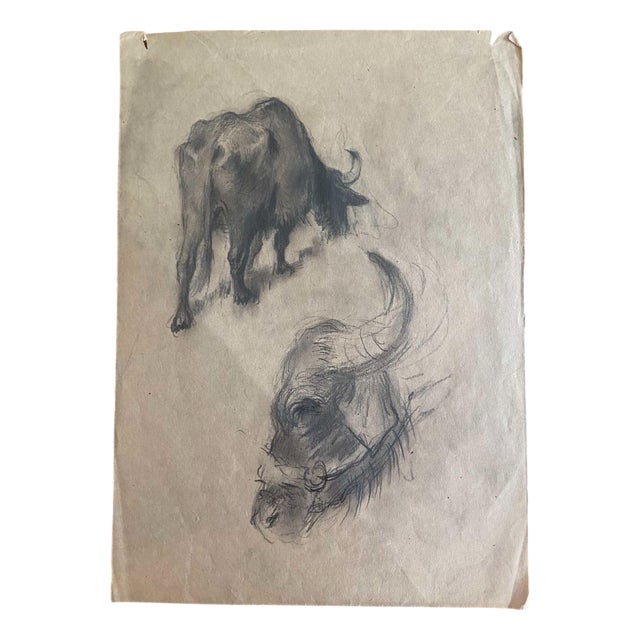 Christo Javacheff, Early Animal Illustration, 1950s, Drawing on Paper For Sale