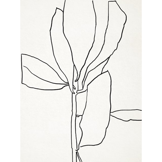 Contemporary Minimalist Botanical Illustration Giclee Print For Sale