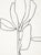 Contemporary Minimalist Botanical Illustration Giclee Print For Sale