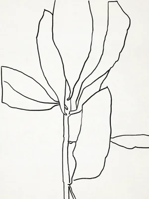 Contemporary Minimalist Botanical Illustration Giclee Print