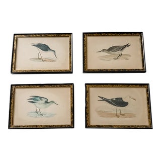 Set of Four Rare Antique Alexander Francis Lydon Framed Bird Prints | Original Victorian Hand-Colored Ornithological Engravings For Sale