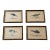 Set of Four Rare Antique Alexander Francis Lydon Framed Bird Prints | Original Victorian Hand-Colored Ornithological Engravings For Sale