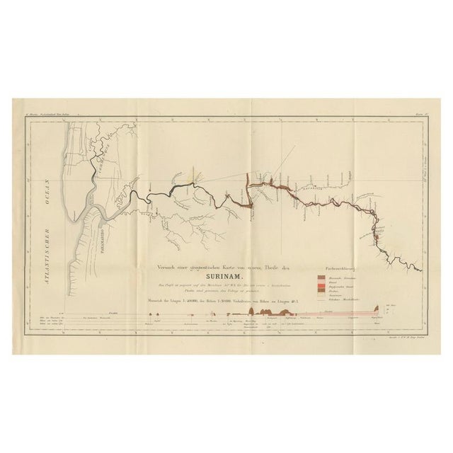 Antique Geological Survey Map of Surinam, 1888 For Sale - Image 11 of 11