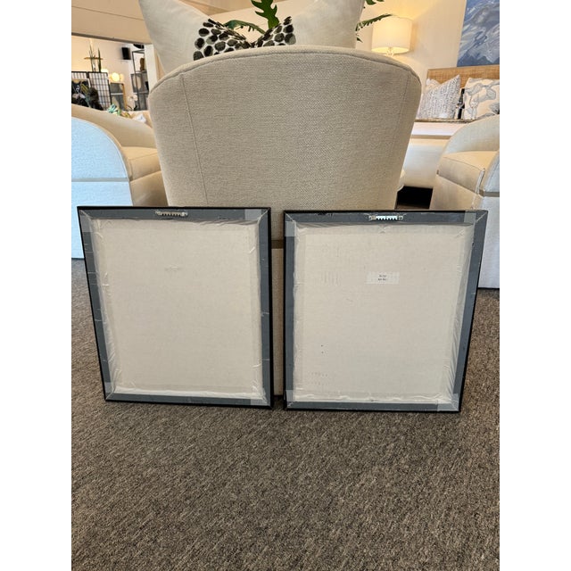 2010s Pair of Framed Shell Prints For Sale - Image 5 of 6