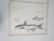 Mid 19th Century Us Pacifc Railroad Fish Lithograph Book Plate - Set of 3 For Sale - Image 4 of 8