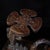 Vintage Chinese Huali Rosewood Wine Rack | Carved Lotus & Carp Motif Display Stand For Sale In Los Angeles - Image 6 of 9