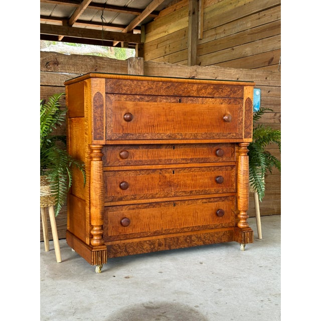 American Empire Tiger Maple & Birdseye Maple Chest of Drawers For Sale - Image 12 of 13