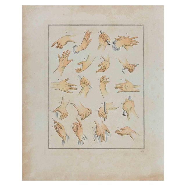 Thomas Holloway, Hands, Etching on paper, hand watercolored, 1810, is an artwork realized by Thomas Holloway for Johann...
