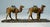 Figurative Antique 19th Century Mini Cold Painted Austrian Vienna Bronze Man 2 Camel Statue For Sale - Image 3 of 12