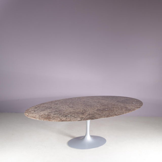 Oval Tulip Table with Brown Marble Top and Matt Silver Coated Oval Base by Eero Saarinen for Knoll International For Sale - Image 6 of 16