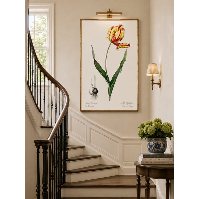Didier's Tulip by Redouté, Vintage Botanical Art Print, 20" X 30" For Sale - Image 9 of 12