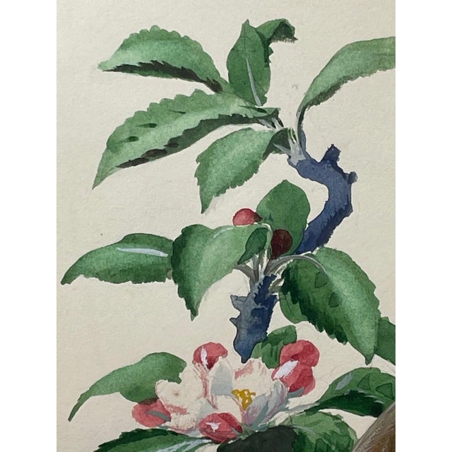 Mid 20th Century Framed Mid-Century British Bird Watercolour by Charles Frederick Tunnicliffe Obe Ra For Sale - Image 5 of 18