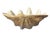 Large Faux Giant Clam Shell Centerpiece Bowl For Sale - Image 12 of 16