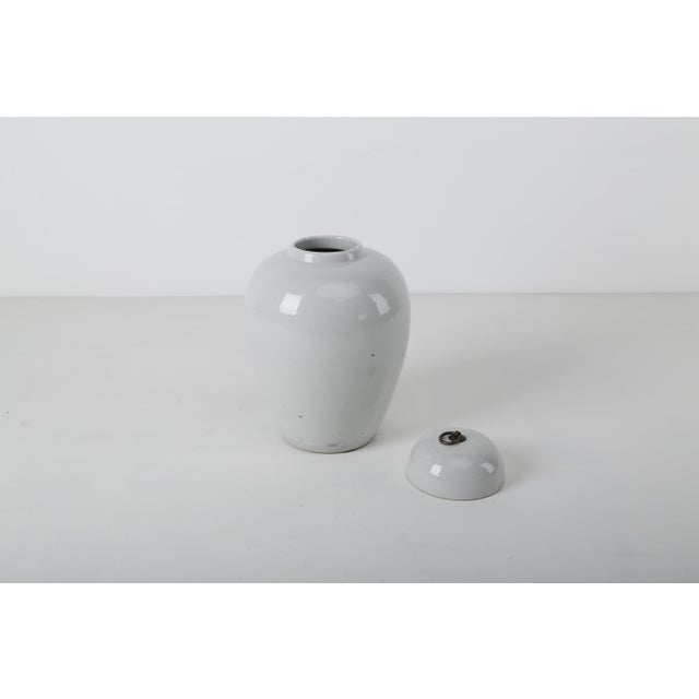 Traditional Contemporary Clara Ginger Jar For Sale - Image 3 of 3