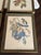 Wood Vintage Audubon-Style Framed Bird Prints — Set of Four For Sale - Image 7 of 12