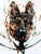 German Shepard 2 by Thibault Jandot | Oil Painting of a German Shepherd dog head. For Sale