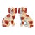 Antique Staffordshire King Charles Spaniel Dog Pair “Mantel Dogs,Victorian Era, Staffordshire England For Sale