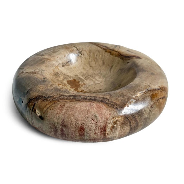 Petrified Wood Organic Modern Vintage Decorative Bowl For Sale - Image 4 of 6