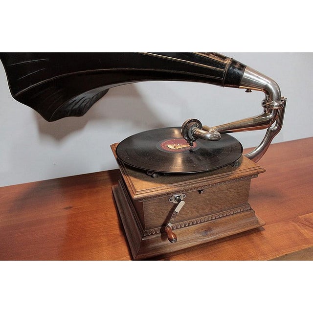 20th Century Horn Gramophone For Sale - Image 9 of 14
