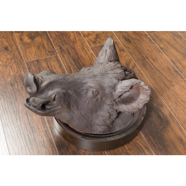 English 1880s Terracotta Hog Head Mounted on New Custom Circular Iron Frame For Sale - Image 12 of 12
