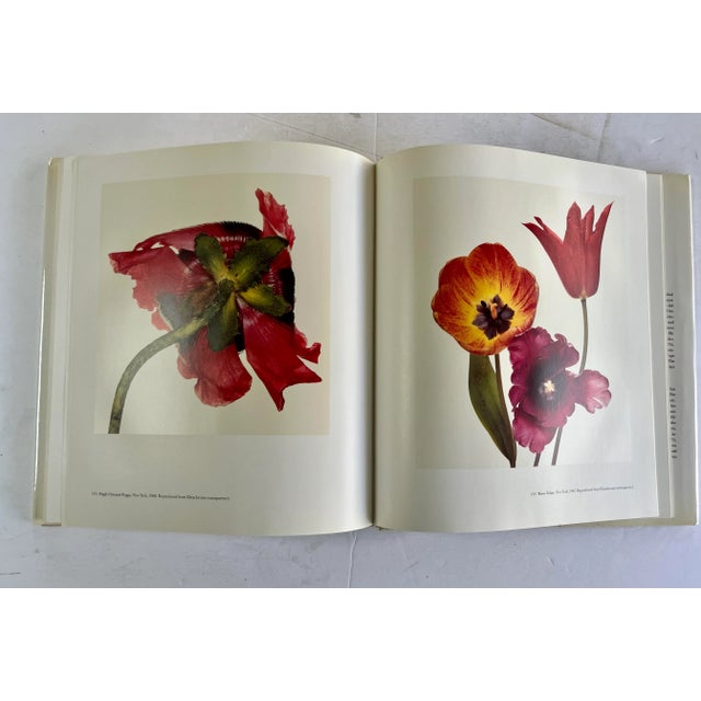 Irving Penn, MoMA, 1984, by John Szarkowski For Sale In New York - Image 6 of 8