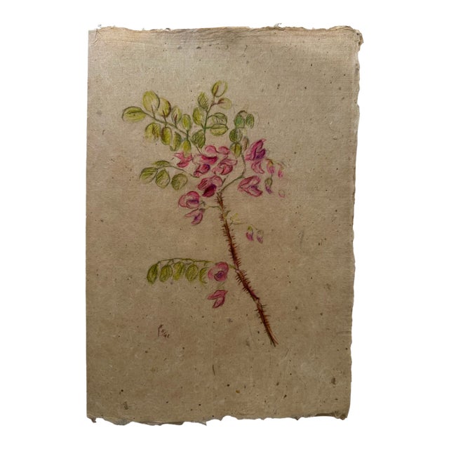 Henry Emil Salloch Original Watercolor on Paper Pink Locust Blossoms, 1941. For Sale