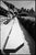 Paul Cooklin, Giant Park Bench, Fougeres, Edition of 50 For Sale - Image 7 of 7