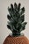 Large scale sculptural Mexican clay pineapple. Statement piece of intricate beauty. This piece reflects a high level of...