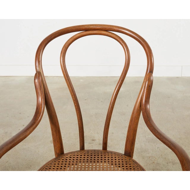 Set of Ten 19th Century J and J Kohn Bentwood Cane Armchairs For Sale In Sacramento - Image 6 of 12