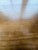 Walnut Bol Credenza by Cisco Brothers For Sale - Image 9 of 10